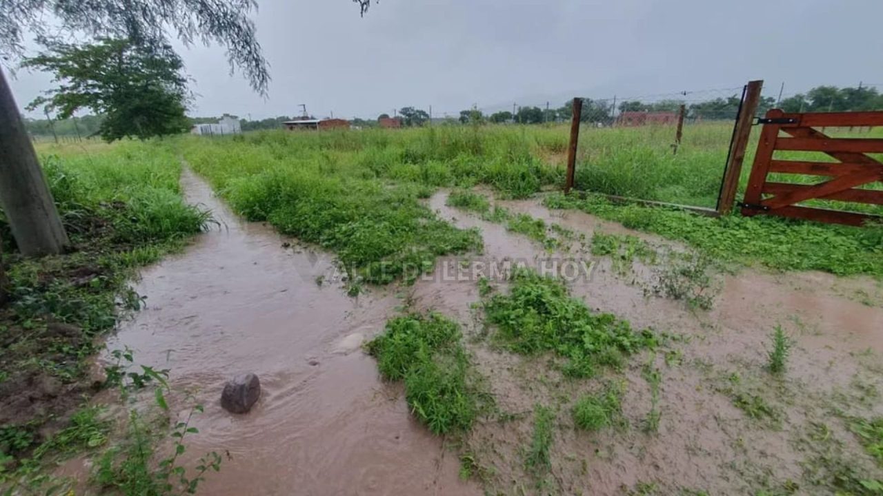 Indignación en La Eulogia: Tabacaleros rompen alambrados y atraviesan un barrio privado