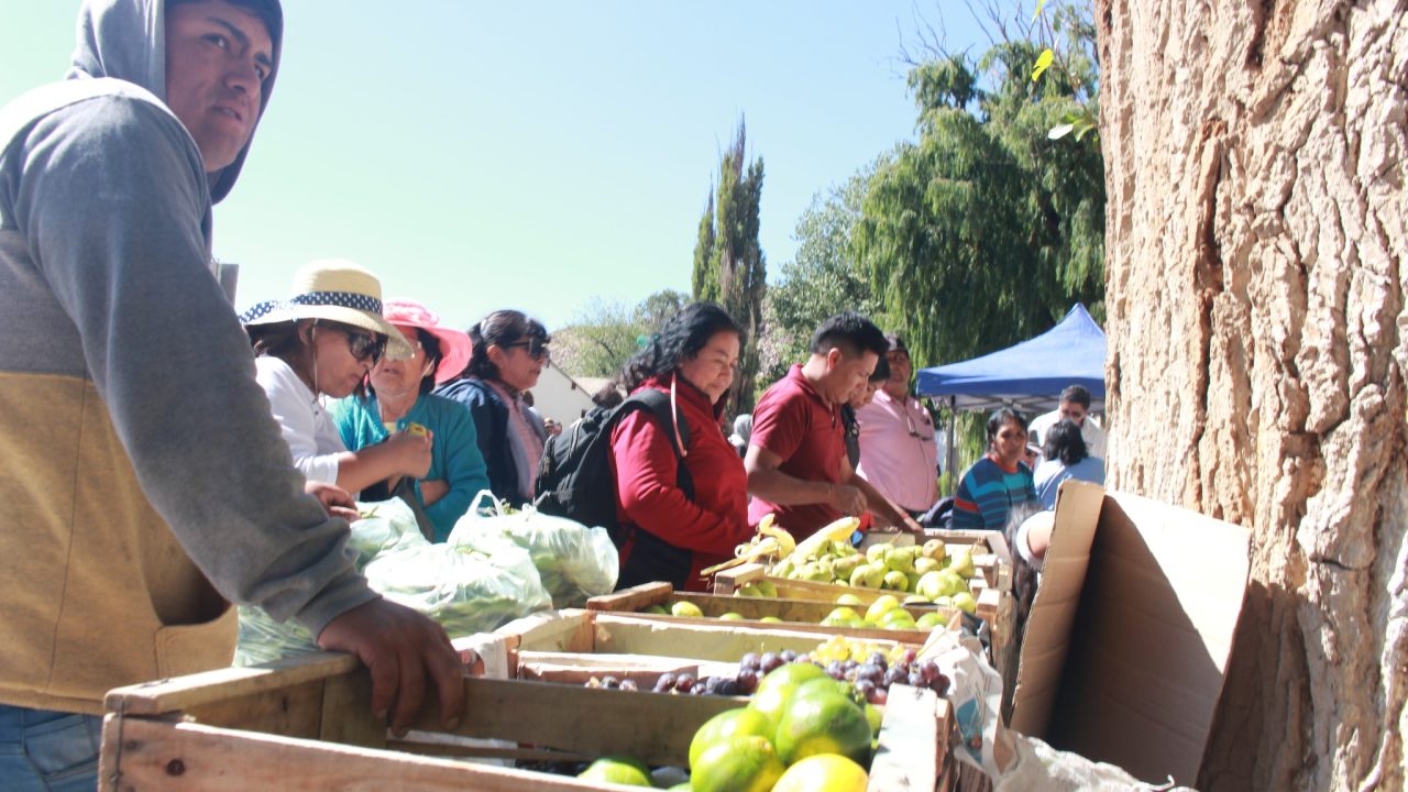 Papas andinas, choclo capia y mucho más en el Encuentro de Productores en Campo Quijano 