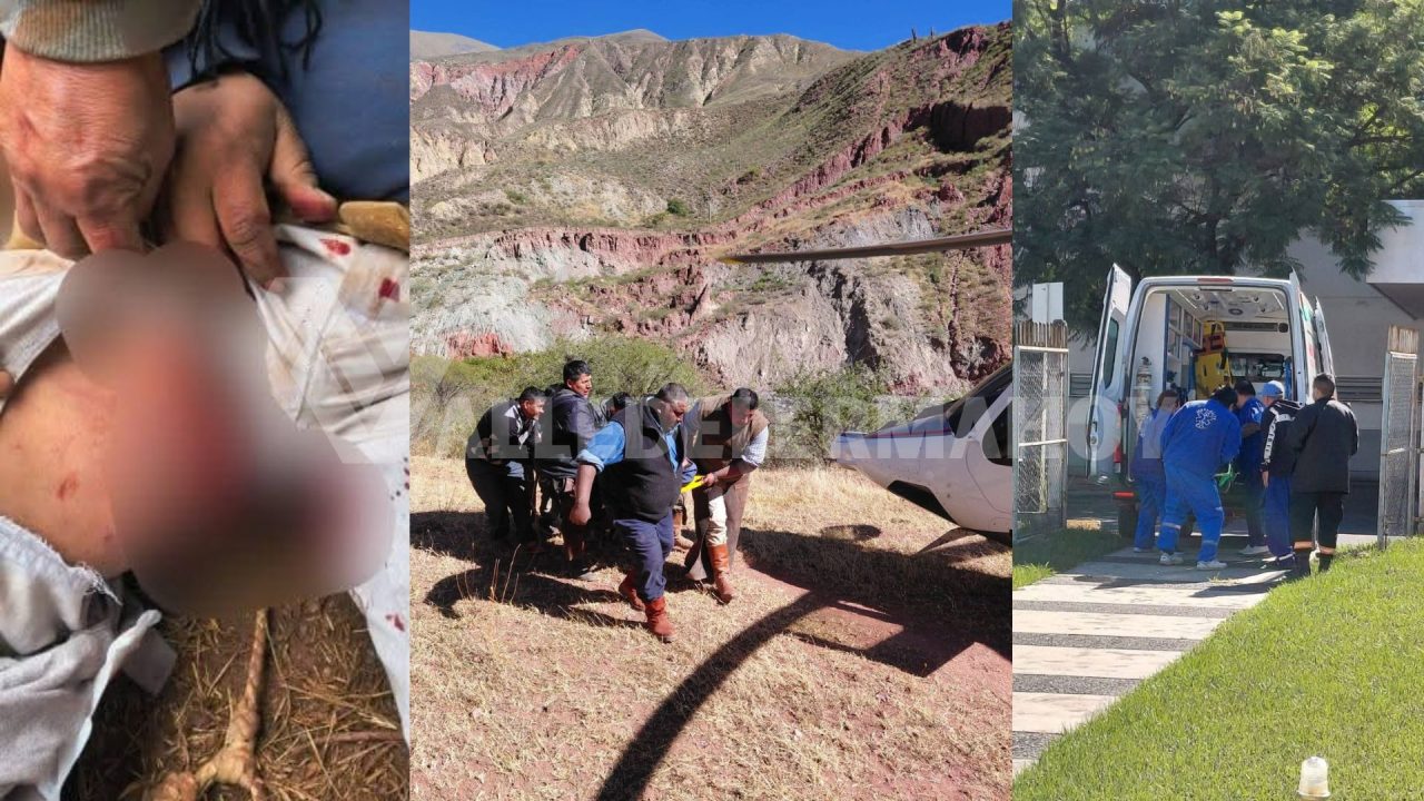 Exitoso rescate aéreo en la Quebrada del Toro tras el ataque de un toro