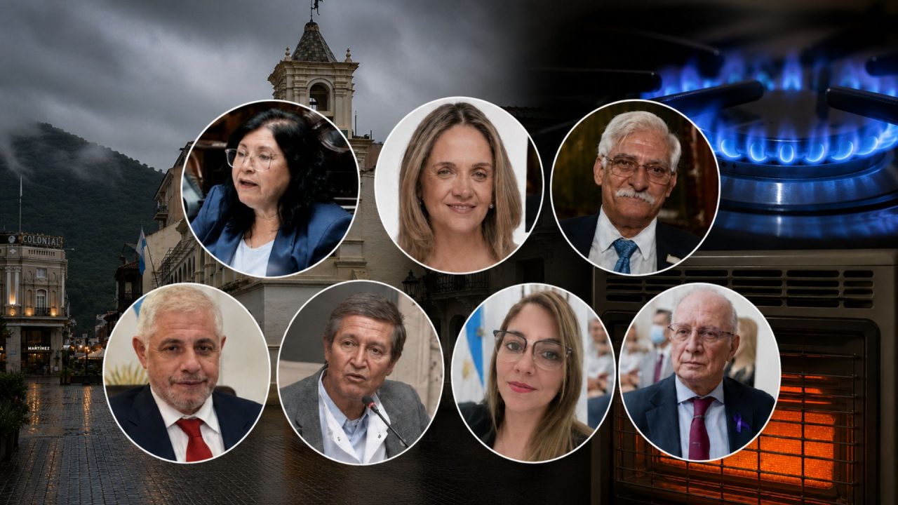 ¿Qué voto cada Diputado y qué departamentos salteños perderían el subsidio al gas? 