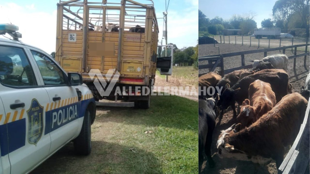Chicoana:Tres hombres fueron demorados por cuatrerear animales