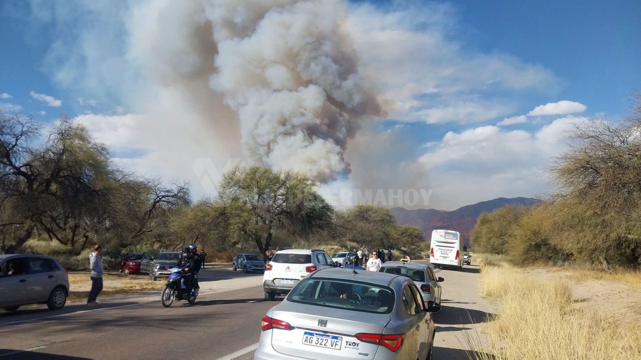 Cafayate: El fuego arrasó casi todo el bosque nativo y activó una alerta nacional