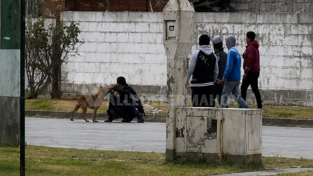 Rosario de Lerma: Una pelea desató una cacería humana frente al Parque Norte