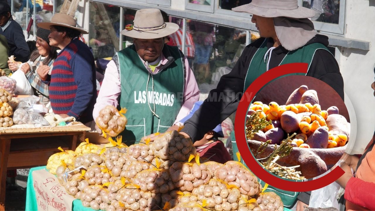 XIV Fiesta de la Papa Andina: Sabores ancestrales y cultura viva