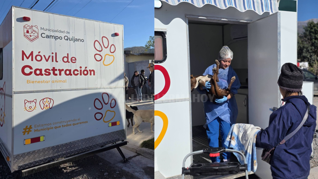 Castración gratuita: El móvil recorrerá todos los barrios de Campo Quijano y La Silleta