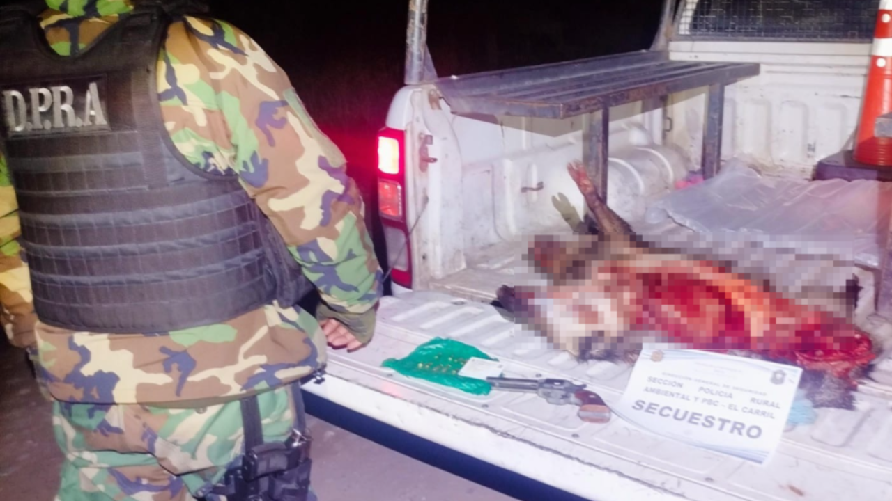 Cazaban chanchos del monte y terminaron multados: Operativo policial en La Silleta