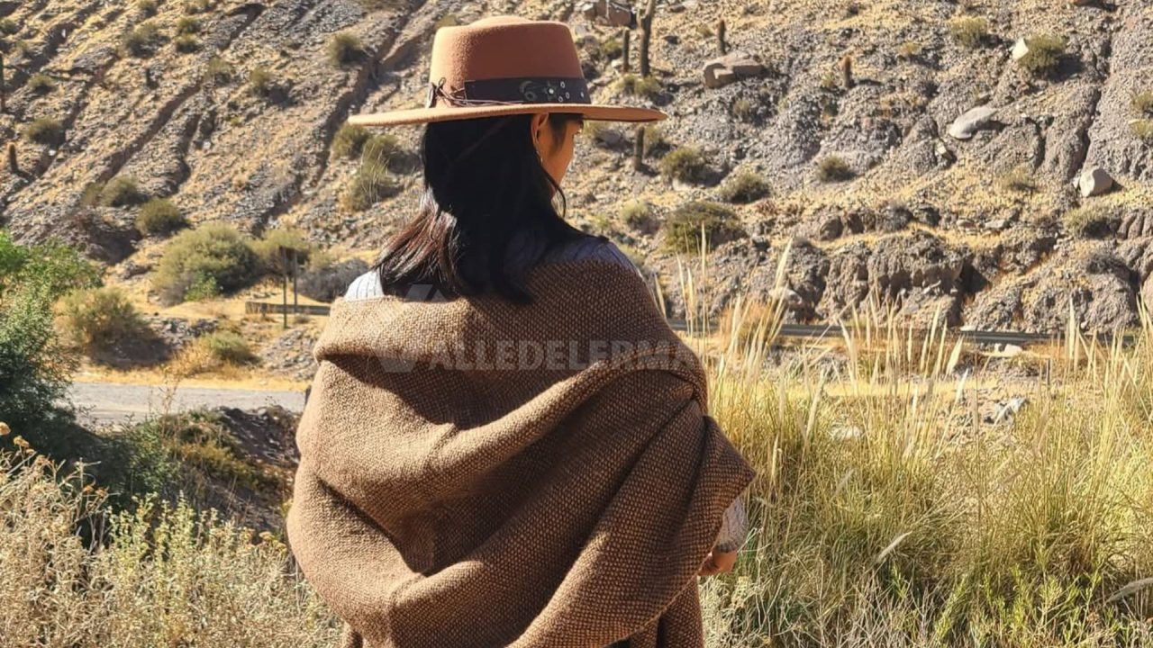 La Quebrada del Toro muestra su identidad con un desfile a más de 3.500 msnm 