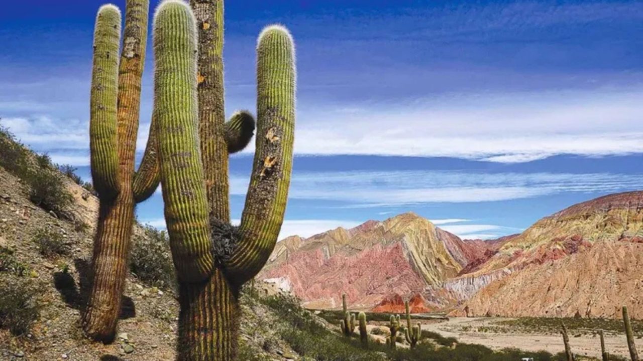 Alerta amarilla por vientos intensos en la Puna de Cafayate y San Carlos