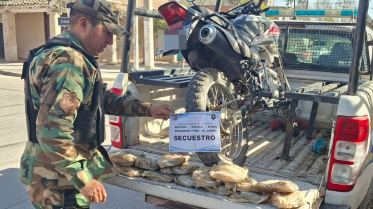 Pesca ilegal en El Carril: Lo detuvieron con 225 pescados