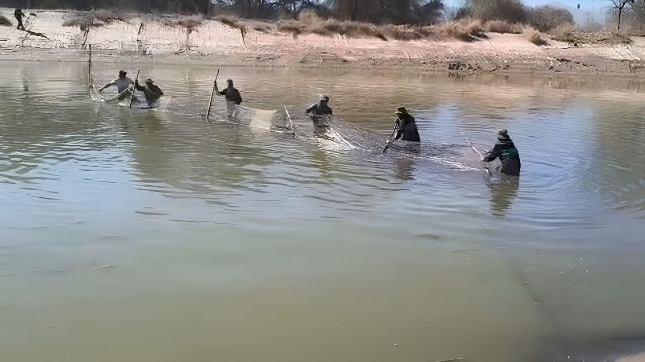 Así capturaba la Policía Rural al yacaré “El Moldeño” en finca Las Tipas