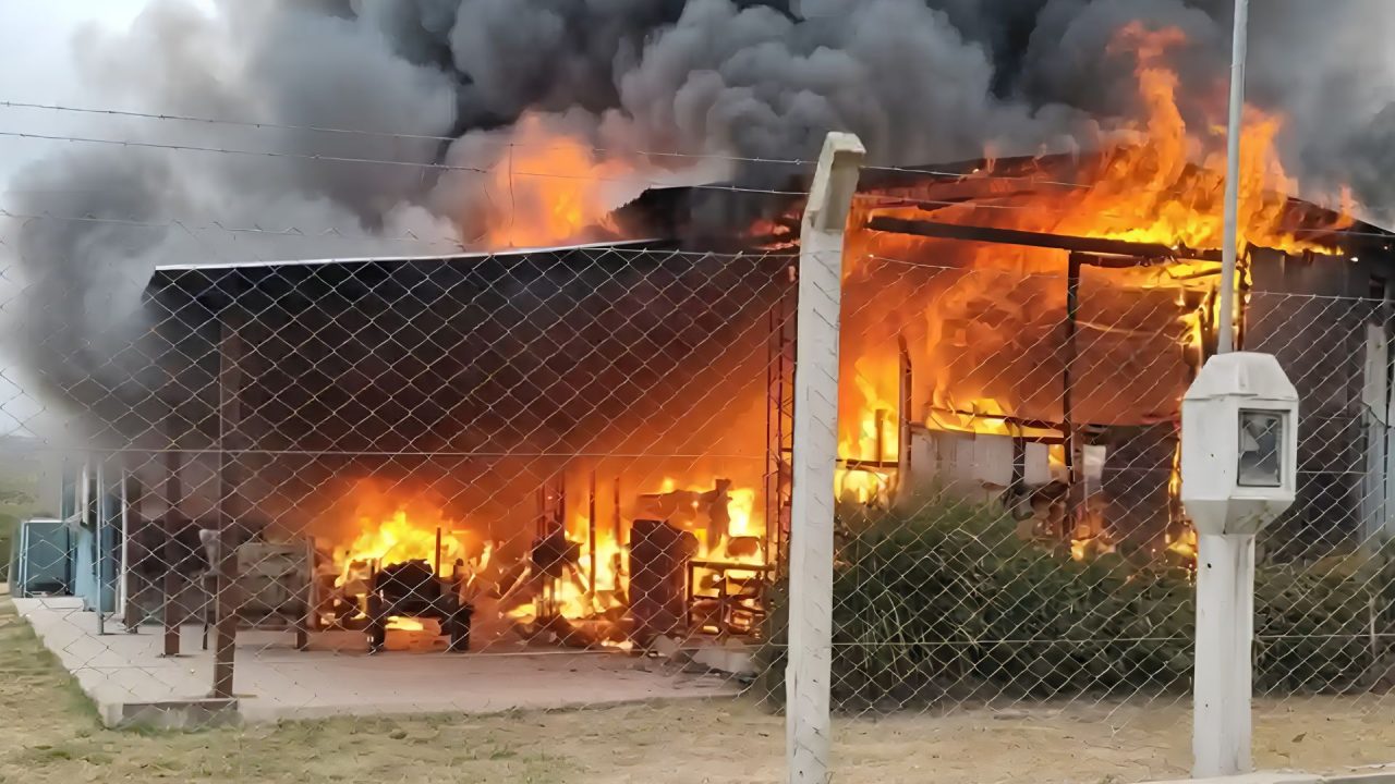 Cerrillos: Al menos 5 perritos muertos y varios gatitos mal heridos en un incendio