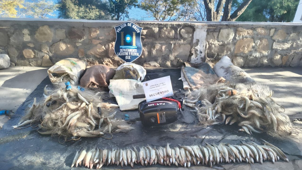 Secuestraron 1.500 pejerreyes y 6 redes de pesca en Mateo Viejo