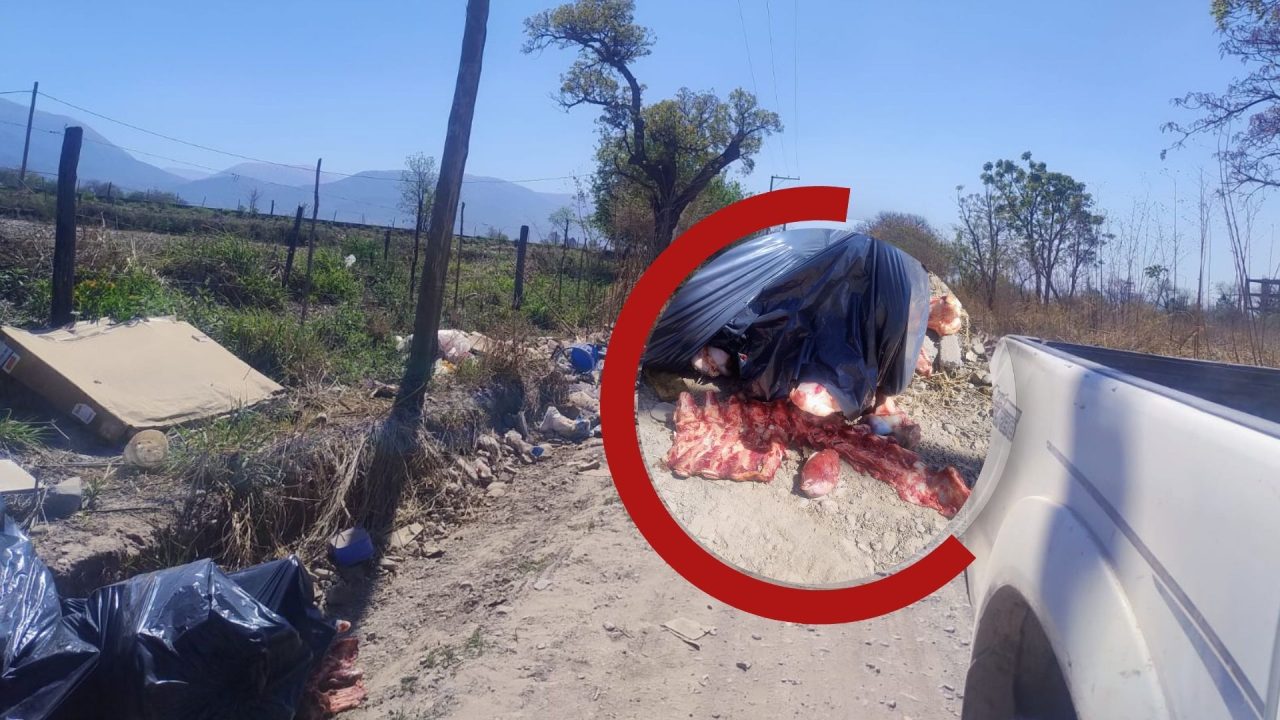 Restos de carne entre la basura: Preocupación de vecinos en Finca Las Tipas