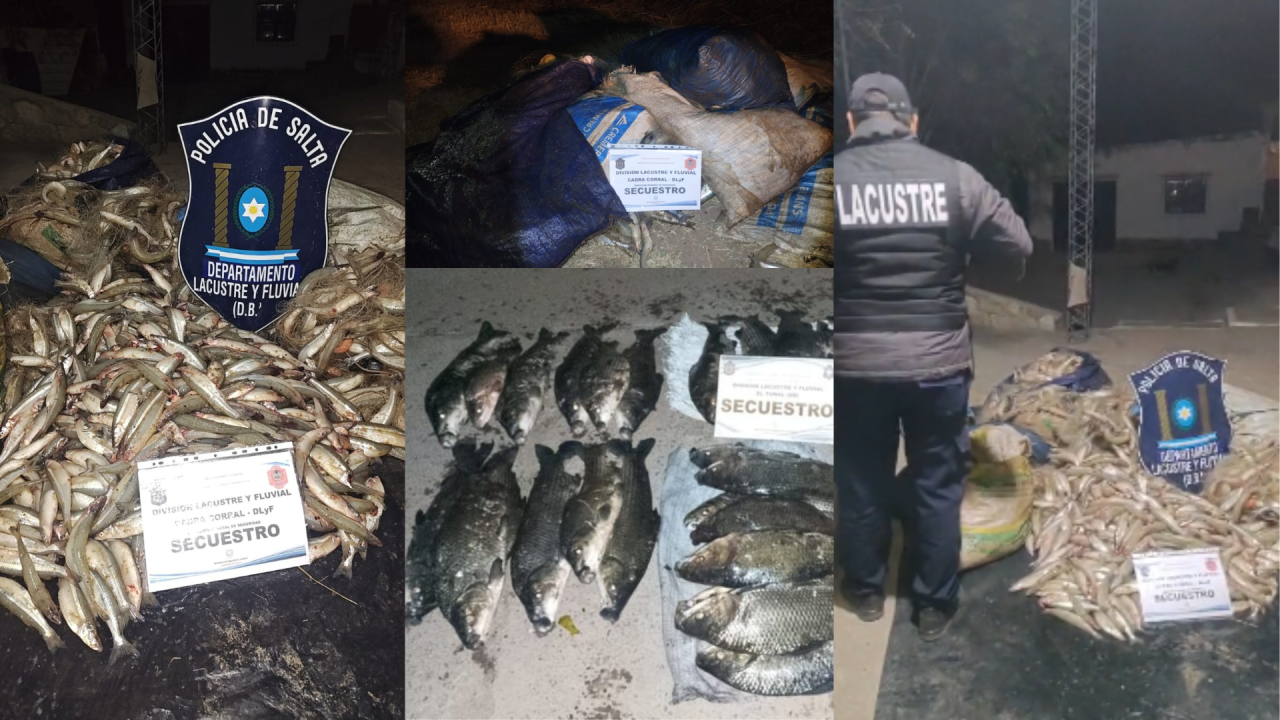 No aprenden más: Tres hombres infraccionados por pesca furtiva en Osma