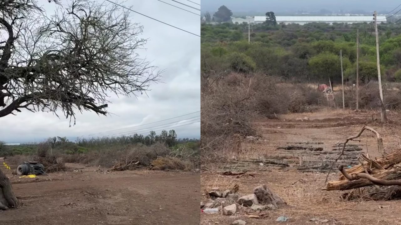 La Pedrera: La municipalidad de Cerrillos clausuró un loteo que ya realizaba desmontes sin autorización