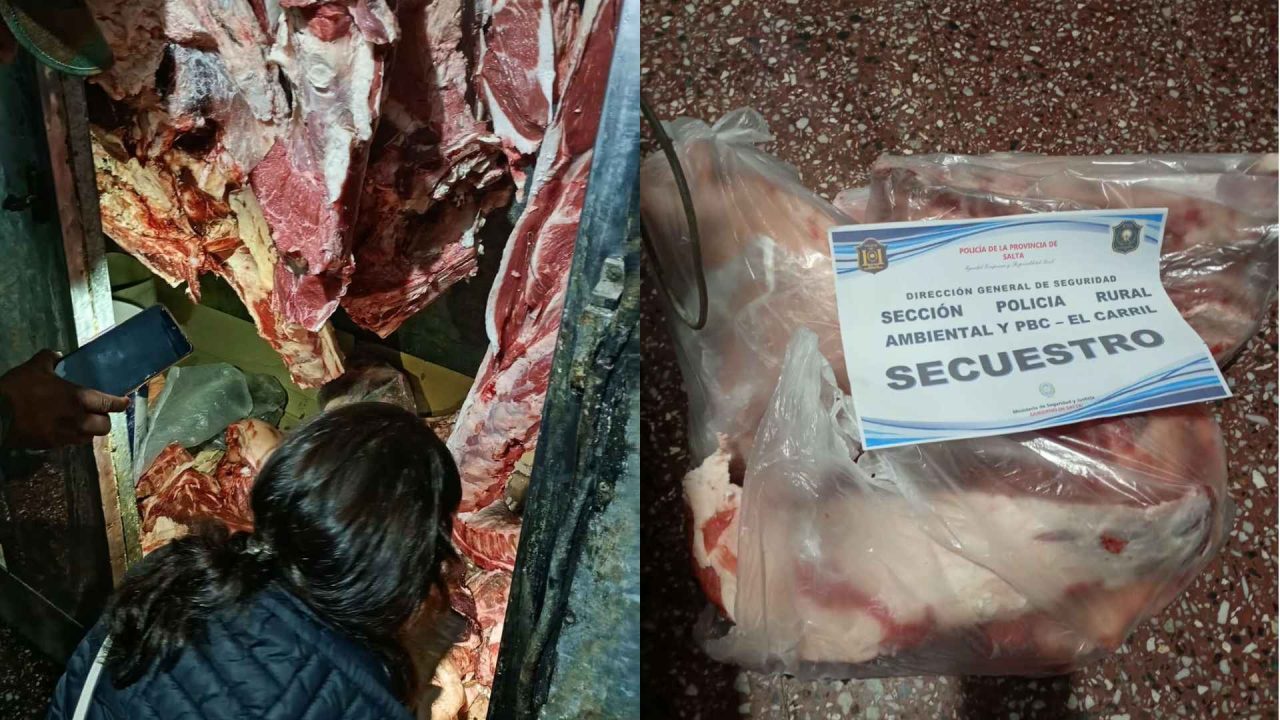Secuestraron más de 19 kilos de carne en mal estado en la Merced
