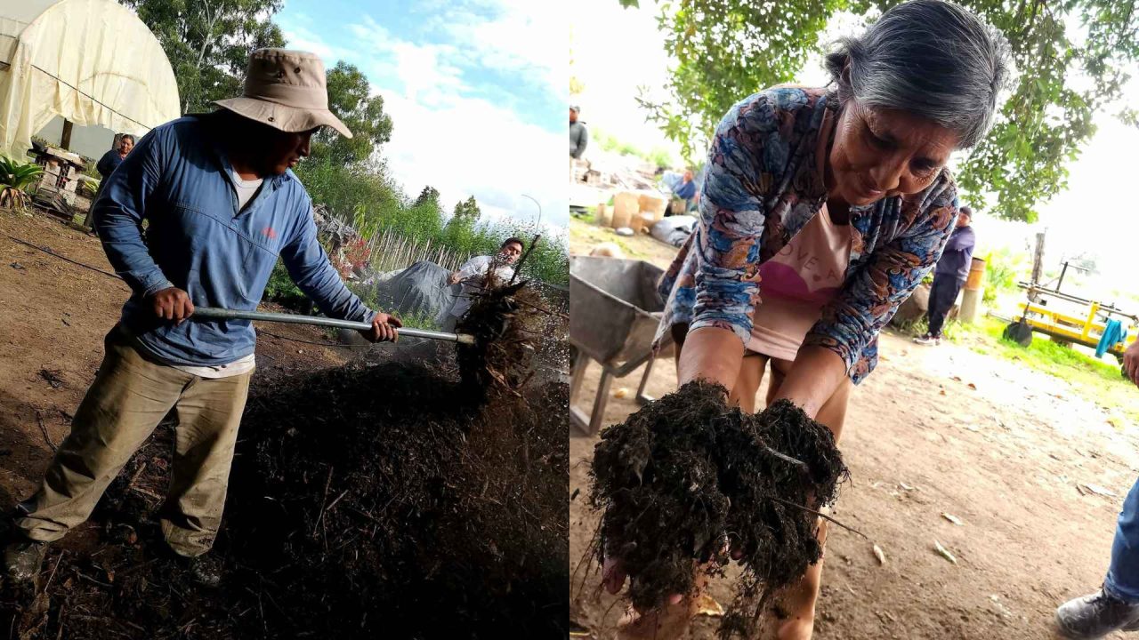 Rosario de Lerma: Producen más de cinco toneladas de abono natural y apuestan a cultivos sin químicos 