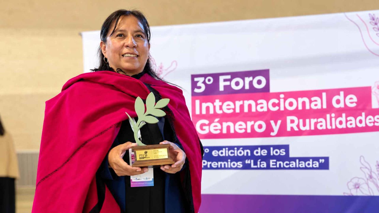 Orgullo del Valle de Lerma: Una docente de Cerrillos fue distinguida por su trabajo en la educación rural