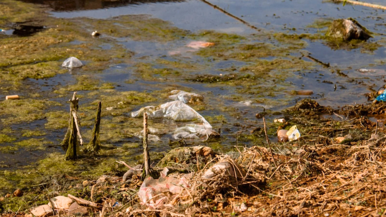 “Es un cementerio de plástico”: toneladas de basura invaden el Cabra Corral